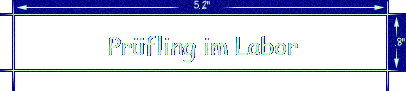 Prfling im Labor